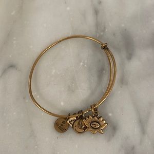Alex & Ani charm duo bangle